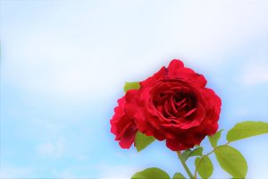 今を楽しむ秘訣