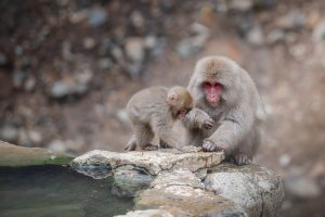 温泉と旅の楽しみ